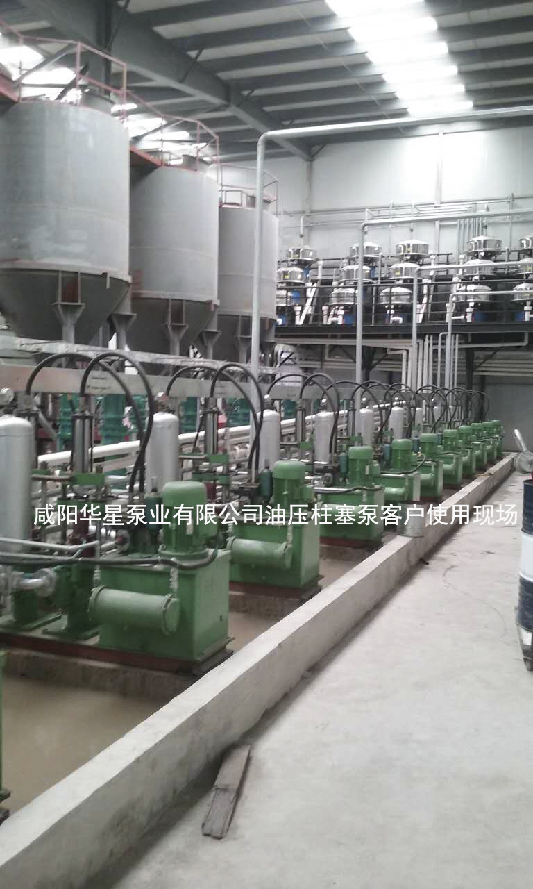 华星柱塞泥浆泵处理化肥厂污水